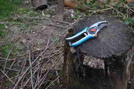 Hand Pruning Shears