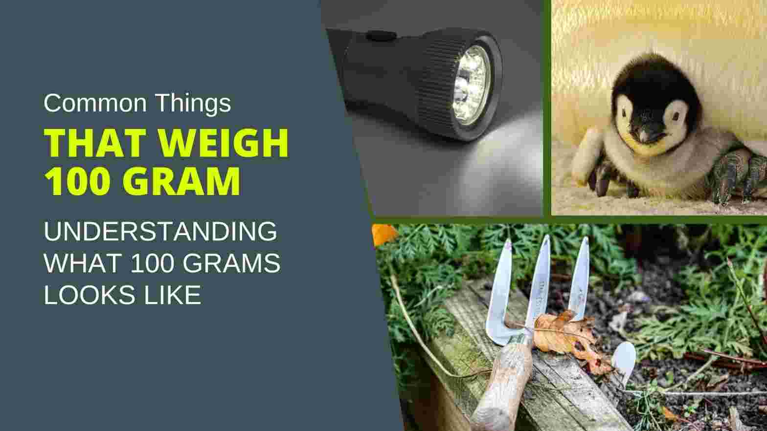 how much weight is 100 grams