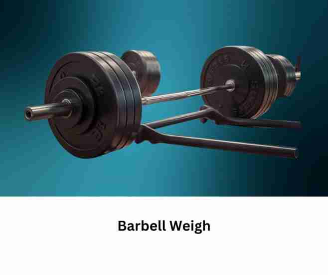 How Much Does a Barbell Weigh?