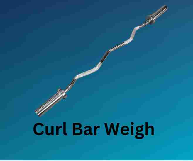 Curl Bar Weigh