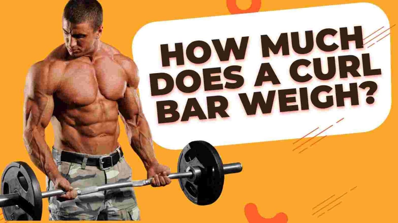 How Much Does a Curl Bar Weigh? Guide to EZ, Olympic, and More..