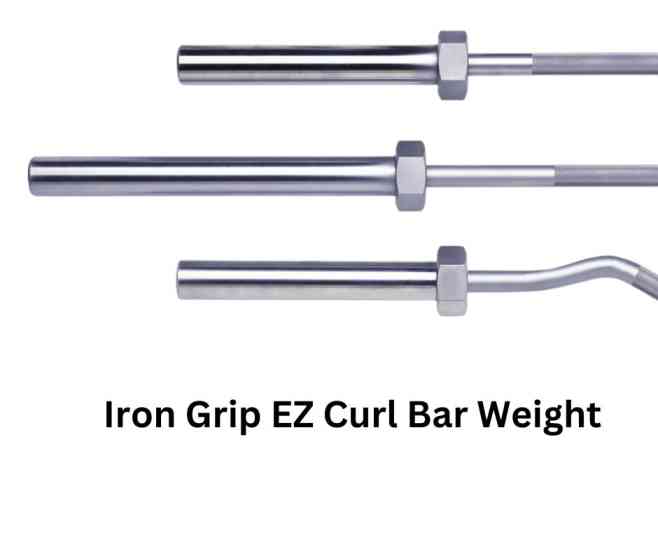 Iron Grip EZ Curl Bar Weight