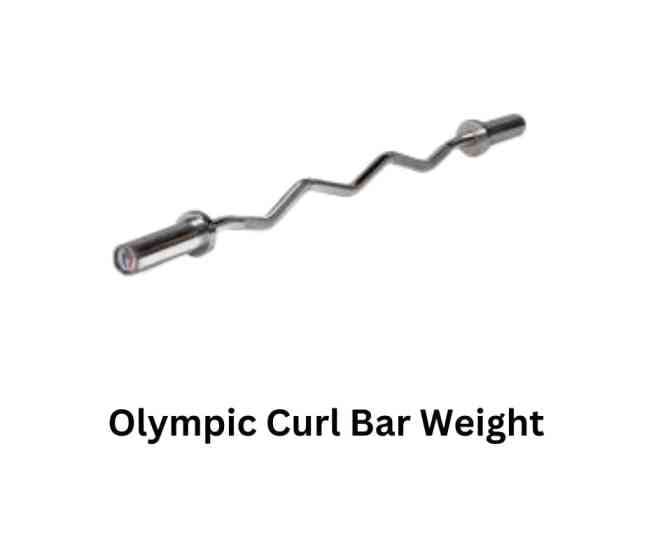 Olympic Curl Bar Weight