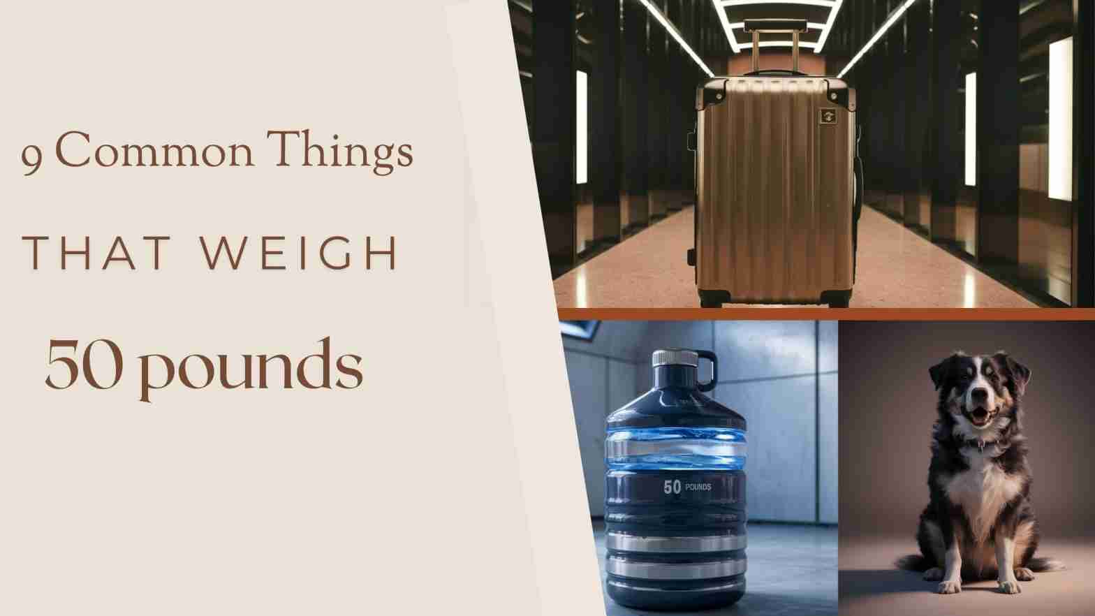 things that weigh 50 pounds