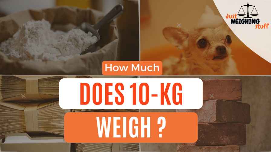 15 common items that weigh 10 kg and how heavy is 10 kg.