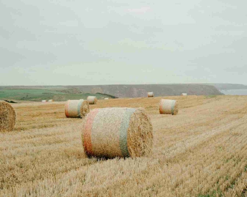 A small bale of hay that weigh 40 lbs