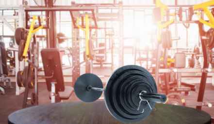 Barbell set that weigh 400 pounds