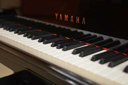 yamaha grand piano reference to weight of 400 pound